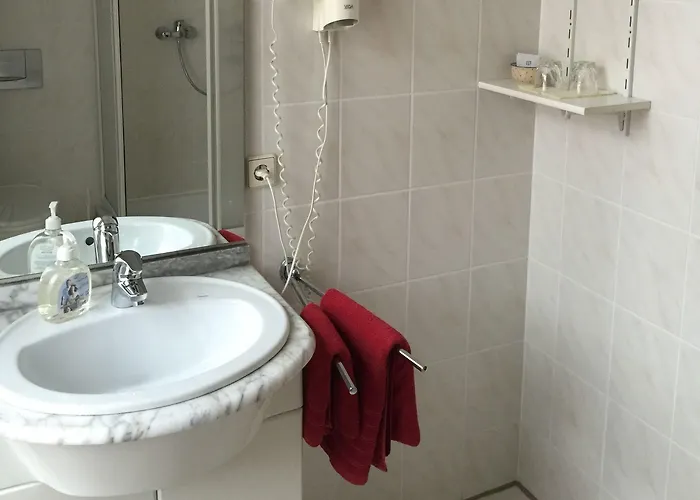 Schmiedeschaenke Πανσιόν 3*